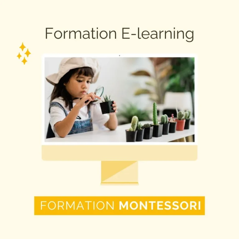 Formation crèche montessori